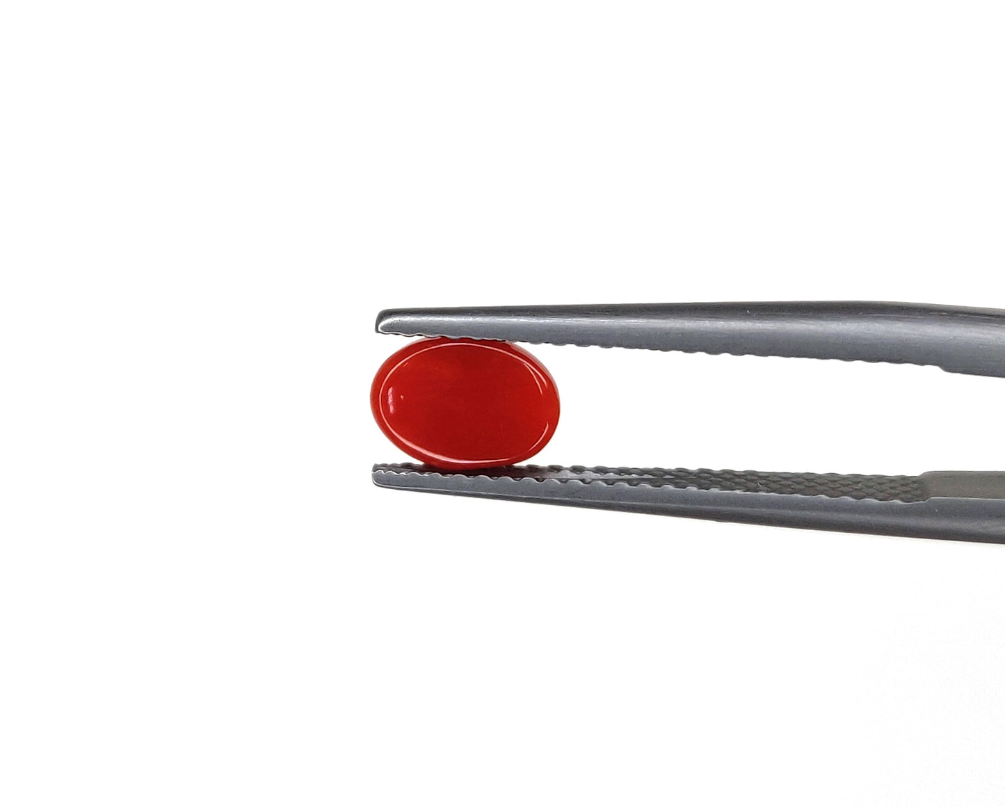 Natural Red Coral Oval 5x7mm Cabochon Calibrated Loose Certified Gemstone Untreated Lot Ready For Jewelry Setting