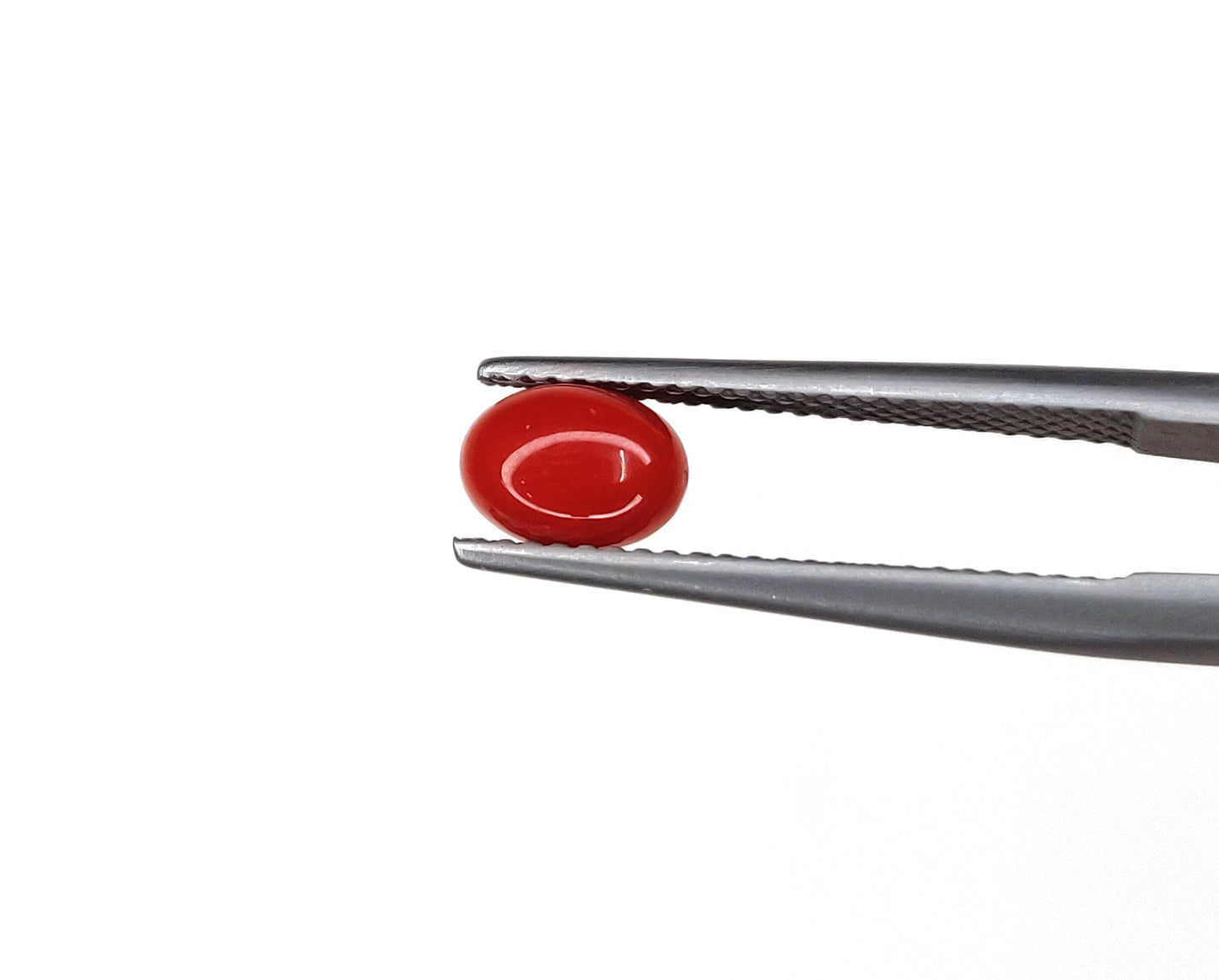 Natural Red Coral Oval 5x7mm Cabochon Calibrated Loose Certified Gemstone Untreated Lot Ready For Jewelry Setting